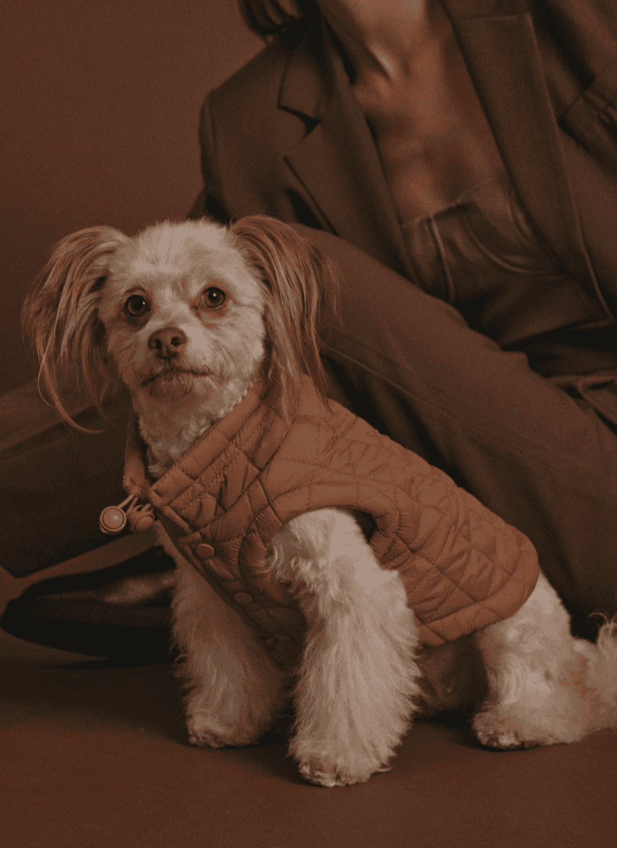 Veste Easy Fit