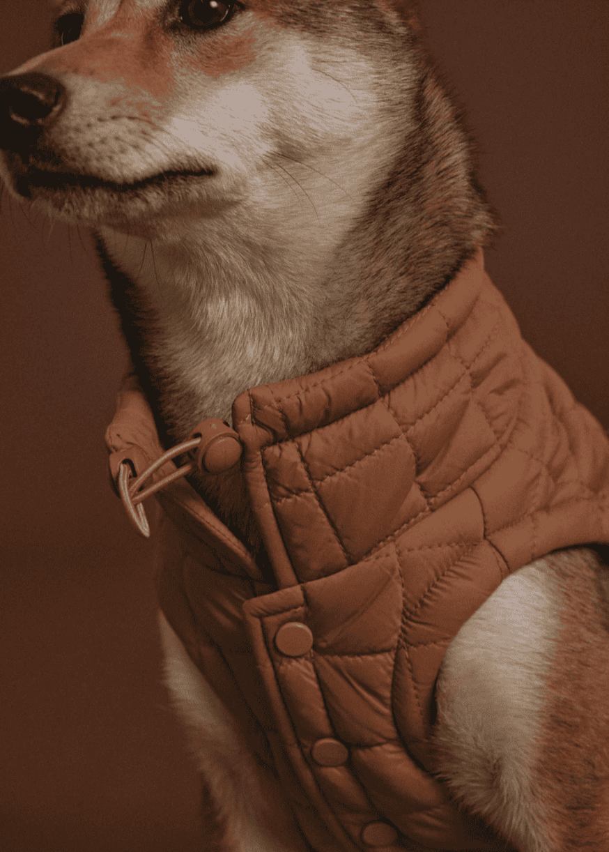 Veste Easy Fit