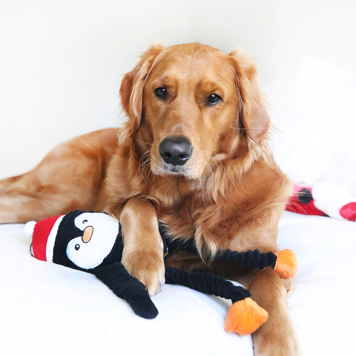 Holiday Crinkle Penquin