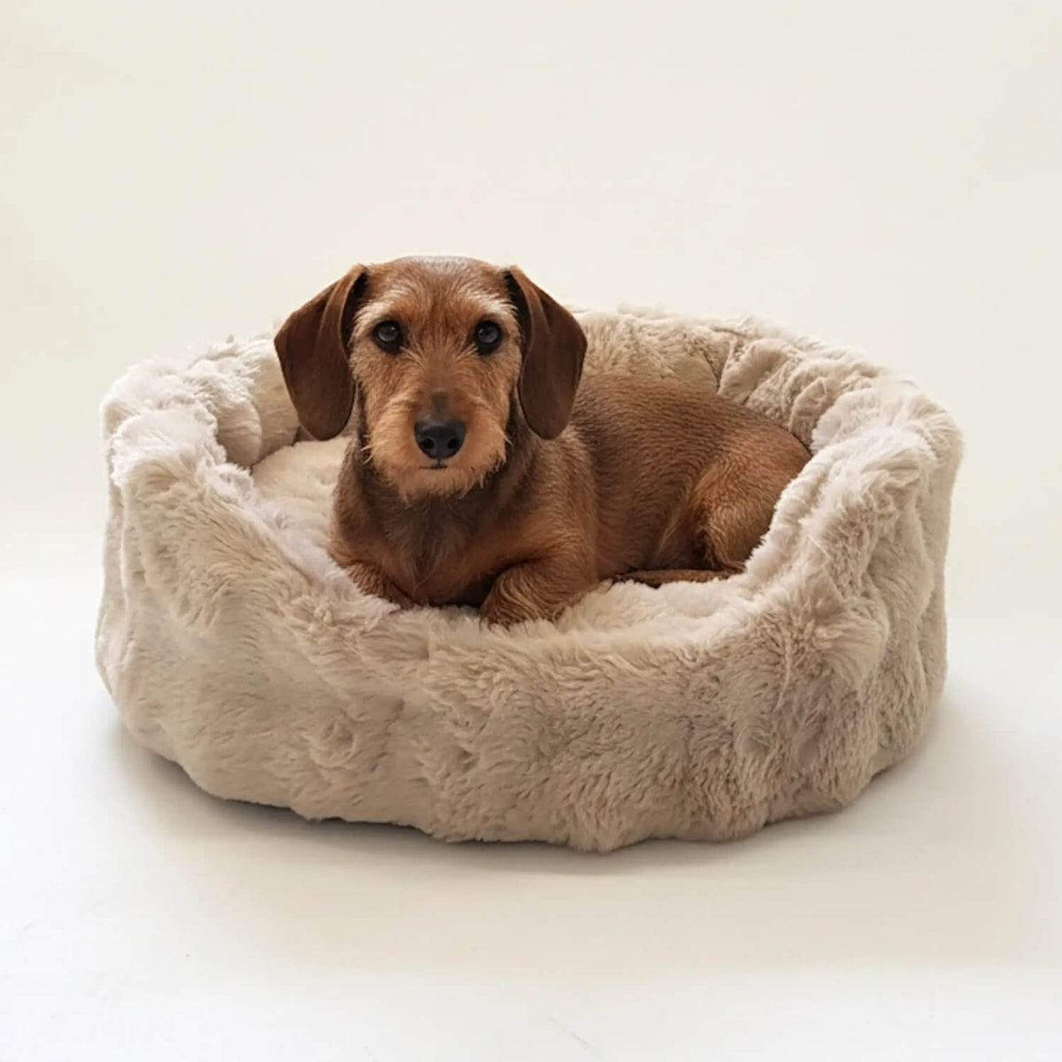 Hondenmand Nomi beige