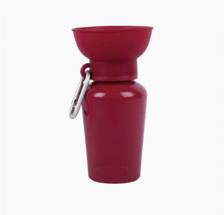 Flip travel bottle bordeaux